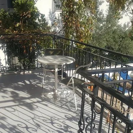 Deniz * מוגלה